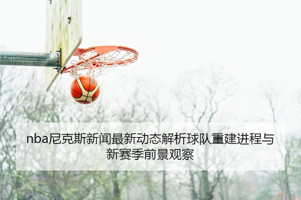 nba尼克斯新闻最新动态解析球队重建进程与新赛季前景观察