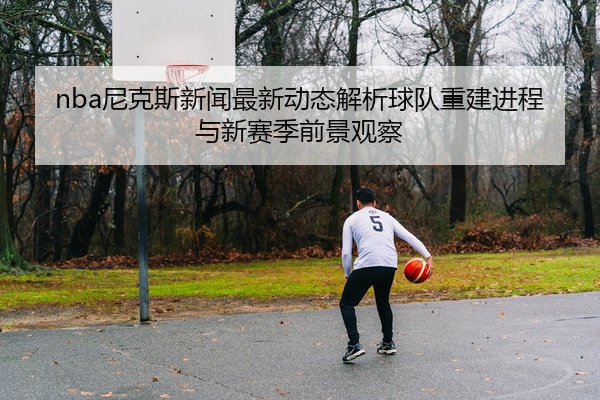 nba尼克斯新闻最新动态解析球队重建进程与新赛季前景观察