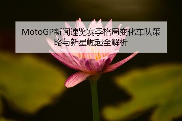 MotoGP新闻速览赛季格局变化车队策略与新星崛起全解析