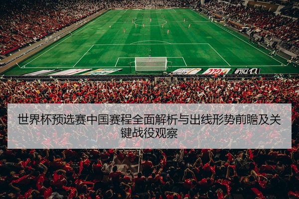 世界杯预选赛中国赛程全面解析与出线形势前瞻及关键战役观察