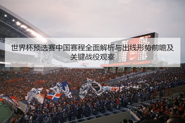 世界杯预选赛中国赛程全面解析与出线形势前瞻及关键战役观察