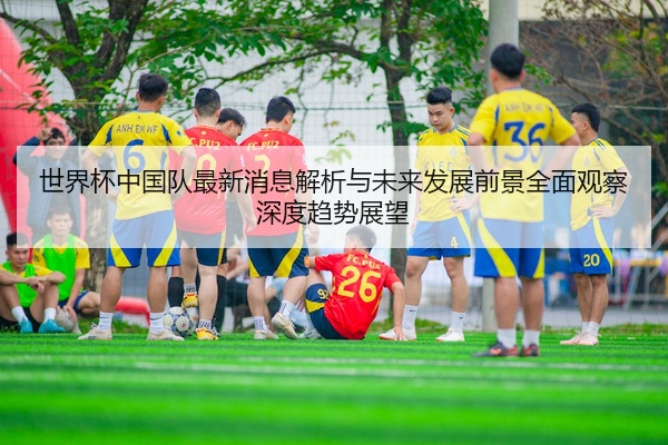 世界杯中国队最新消息解析与未来发展前景全面观察深度趋势展望