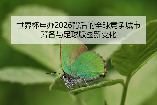 世界杯申办2026背后的全球竞争城市筹备与足球版图新变化