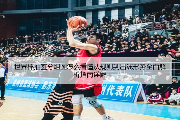 世界杯抽签分组图怎么看懂从规则到出线形势全面解析指南详解