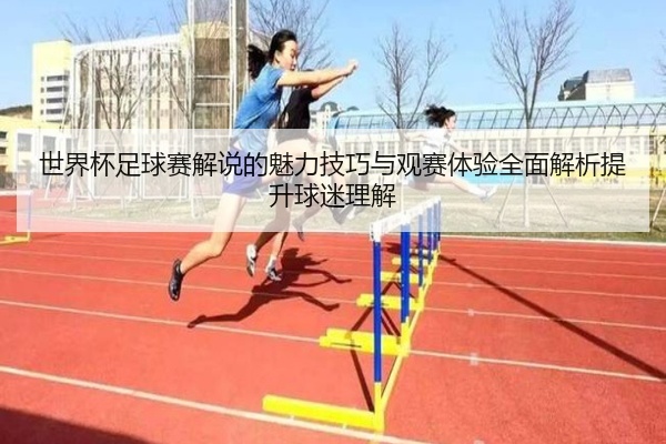 世界杯足球赛解说的魅力技巧与观赛体验全面解析提升球迷理解