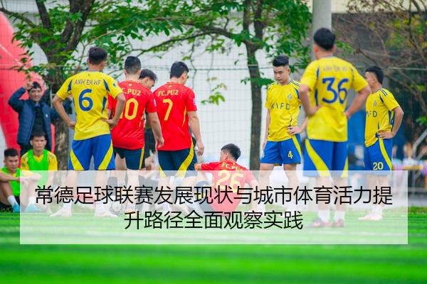 常德足球联赛发展现状与城市体育活力提升路径全面观察实践