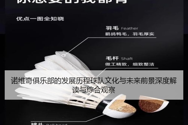 诺维奇俱乐部的发展历程球队文化与未来前景深度解读与综合观察