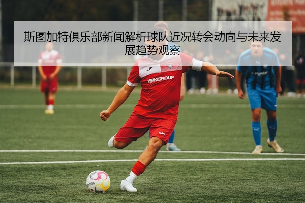 斯图加特俱乐部新闻解析球队近况转会动向与未来发展趋势观察
